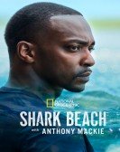 poster_shark-beach-with-anthony-mackie_tt31195525.jpg Free Download