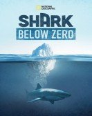 poster_shark-below-zero_tt27999920.jpg Free Download