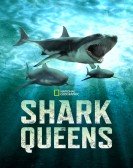 poster_shark-queens_tt21428462.jpg Free Download