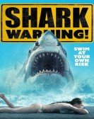 Shark Warning Free Download