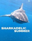 poster_sharkadelic-summer_tt13362120.jpg Free Download