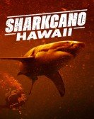 Sharkcano: Hawaii Free Download