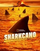 poster_sharkcano_tt21300912.jpg Free Download