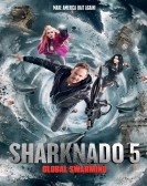 poster_sharknado-5-global-swarming_tt6298780.jpg Free Download