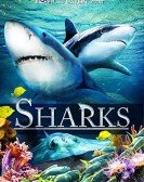 poster_sharks-in-3d_tt2632758.jpg Free Download