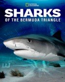 Sharks of the Bermuda Triangle Free Download