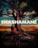 Shashamane Free Download