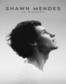 Shawn Mendes: In Wonder Free Download