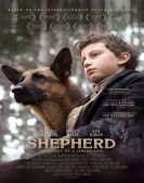 SHEPHERD: The Story of a Jewish Dog Free Download