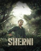 Sherni poster