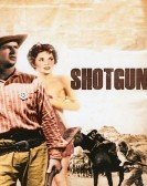 poster_shotgun_tt0048612.jpg Free Download