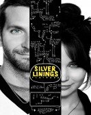 Silver Linings Playbook (2012) Free Download
