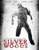 Silver Woods poster