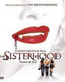 poster_sisterhood_tt0408191.jpg Free Download