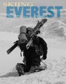 Skiing Everest Free Download