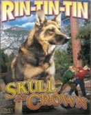 Skull and Crown Free Download