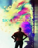 Sky Ladder: The Art of Cai Guo-Qiang poster