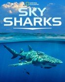 poster_sky-sharks_tt21934742.jpg Free Download