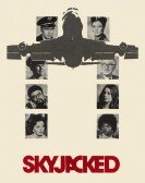 Skyjacked poster