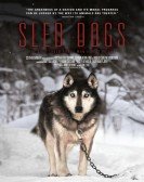 Sled Dogs Free Download