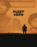 Sleep of the Crow Free Download