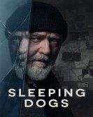 poster_sleeping-dogs_tt8542964.jpg Free Download