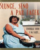 Slunce seno a pÃ¡r facek Free Download