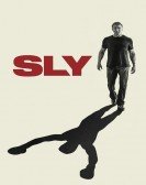 Sly poster