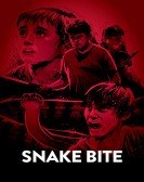 Snake Bite poster