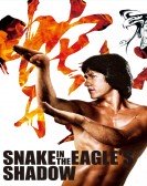 Snake in the Eagle's Shadow (1978) poster