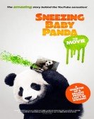 Sneezing Baby Panda - The Movie poster