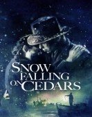 poster_snow-falling-on-cedars_tt0120834.jpg Free Download