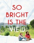 So Bright Is the View poster