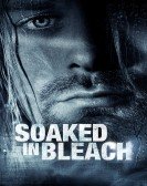 Soaked in Bleach Free Download