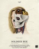 Soldier Bee Free Download