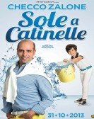 poster_sole-a-catinelle_tt3066270.jpg Free Download