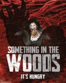 poster_something-in-the-woods_tt13800590.jpg Free Download