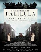 Somewhere in Palilula Free Download