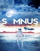 Somnus poster