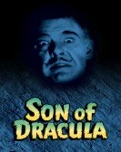 poster_son-of-dracula_tt0036376.jpg Free Download