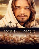 poster_son-of-god_tt3210686.jpg Free Download