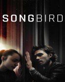 Songbird poster