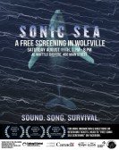 Sonic Sea Free Download