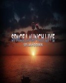 Space Launch Live: Splashdown poster