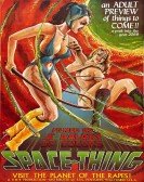 Space Thing poster