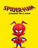 poster_spider-ham-caught-in-a-ham_tt9803682.jpg Free Download