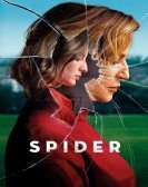 poster_spider_tt6131414.jpg Free Download