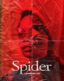 Spider Free Download