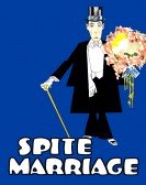 poster_spite-marriage_tt0020442.jpg Free Download