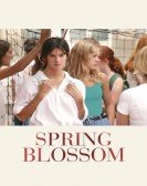 Spring Blossom poster